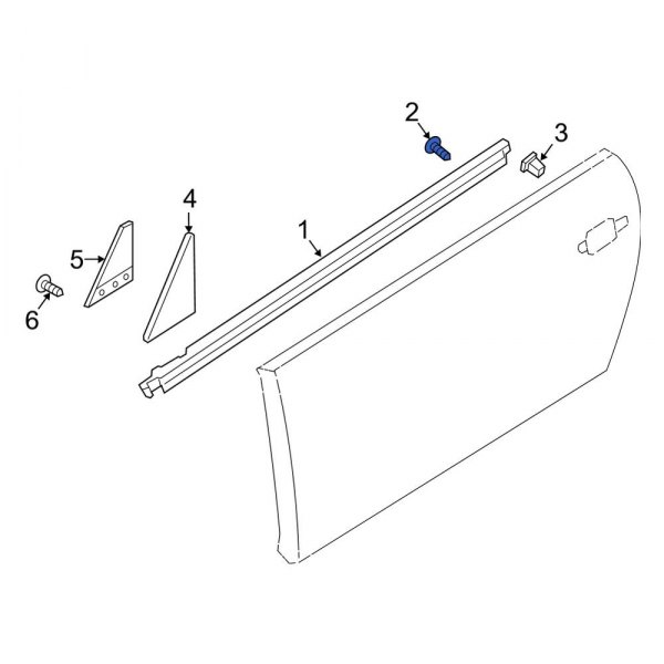 Door Belt Molding Screw