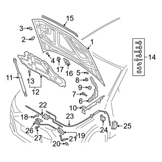Audi OE - Hood & Components