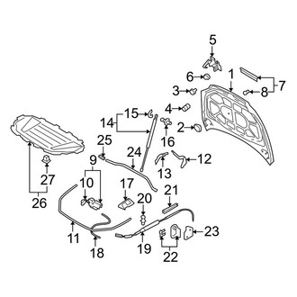 Audi OE - Hood & Components
