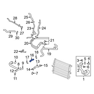 Audi OE - Lower Radiator Coolant Hose