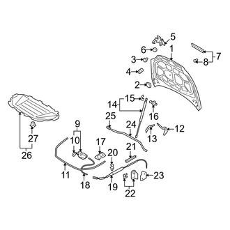 Audi OE - Hood & Components