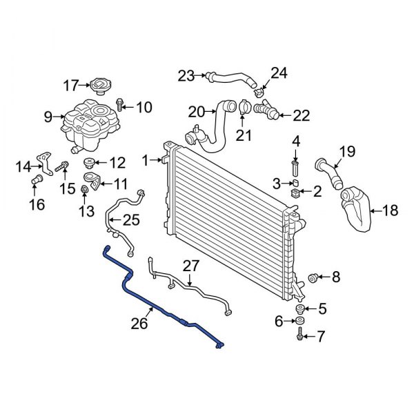 Engine Coolant Overflow Hose