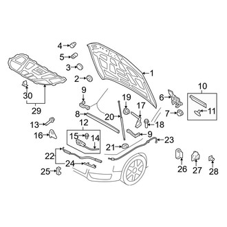 Audi OE - Hood & Components