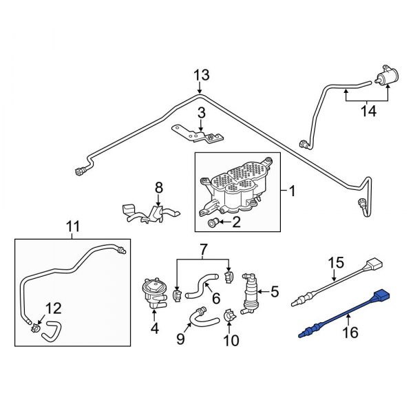 Oxygen Sensor