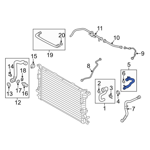 Radiator Coolant Hose