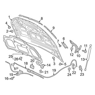 Audi OE - Hood & Components