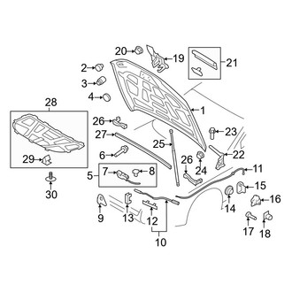 Audi OE - Hood & Components