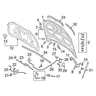 Audi OE - Hood & Components