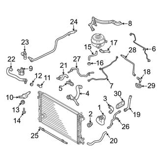 Audi OE - Cooling - Hoses & Lines (Main)