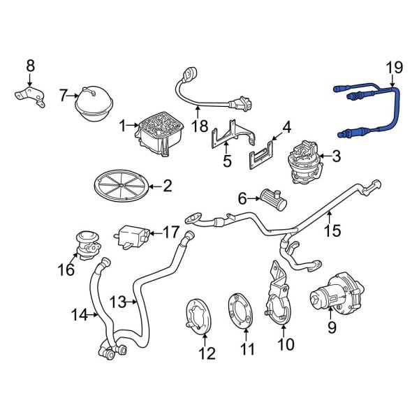 Oxygen Sensor