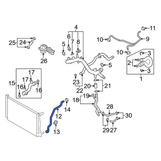 Audi OE - Engine Coolant Overflow Hose