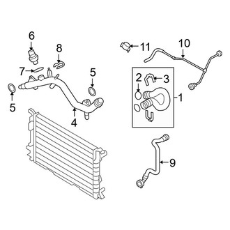 Audi OE - Cooling - Hoses & Lines (Supply)