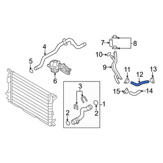 Audi OE - Lower Radiator Coolant Hose