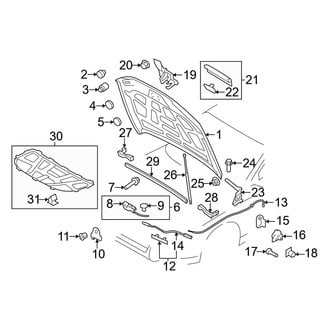 Audi OE - Hood & Components