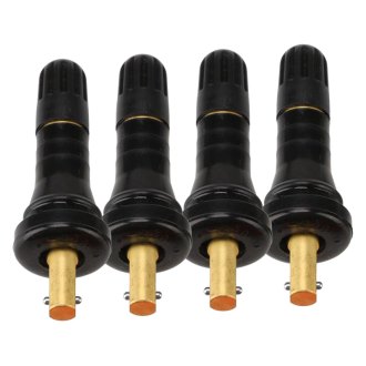 Tesla Model 3 TPMS Service Kits  Replacement Valves, Stems, Caps —