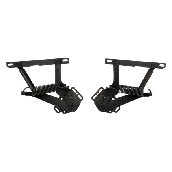 Auto Metal Direct® - Driver and Passenger Side Hood Hinges