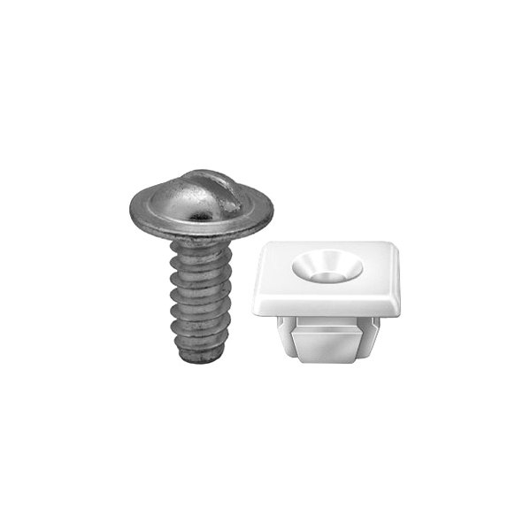 Auto Metal Direct® - License Plate Screw & Nut