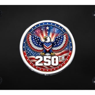 Autogold® - Black License Plate with 3D Chrome 250th Logo