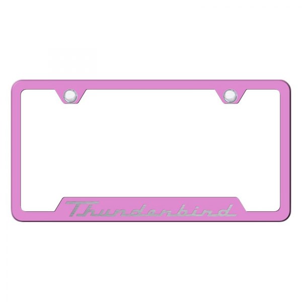 Autogold® - License Plate Frame with Laser Etched Thunderbird Logo and Cut-Out