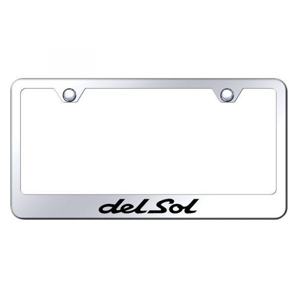 Autogold® - License Plate Frame with Laser Etched Del Sol Logo