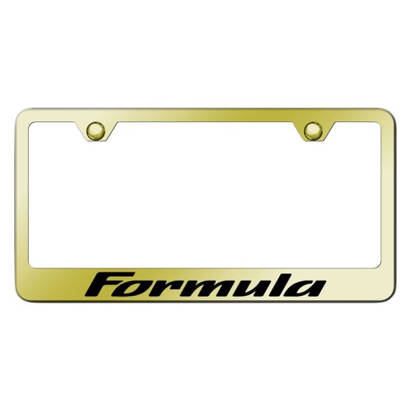 Autogold® - License Plate Frame with Laser Etched Formula Logo