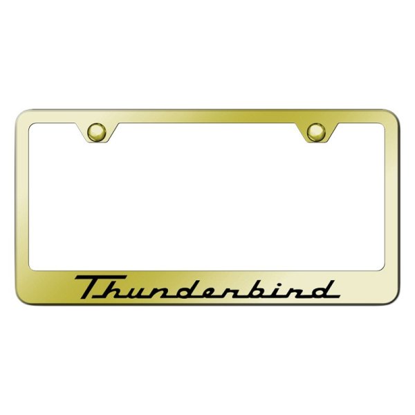 Autogold® - License Plate Frame with Laser Etched Thunderbird Logo