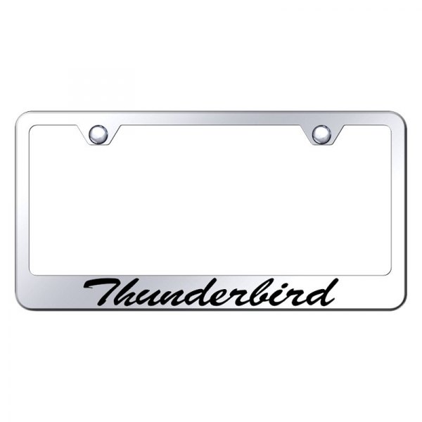 Autogold® - License Plate Frame with Script Laser Etched Thunderbird Logo