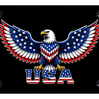 Autogold® - UV Printed Black License Plate with USA Eagle Logo