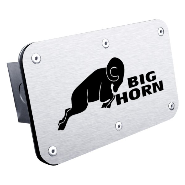 Autogold® - Big Horn Trailer Hitch Plug