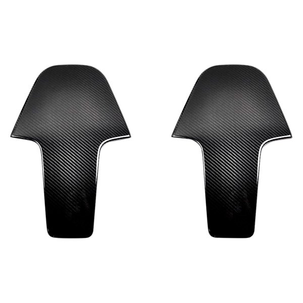 AutoTecknic® - Dry Carbon Fiber Seat Back Cover