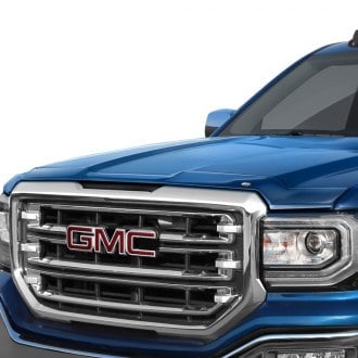 2021 ford f150 bug deflector