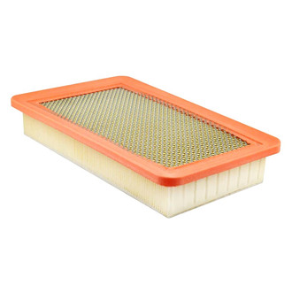 Baldwin Filters® - Channel Flow Primary Air Filter Element