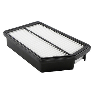 Baldwin Filters® - Air Filter Element