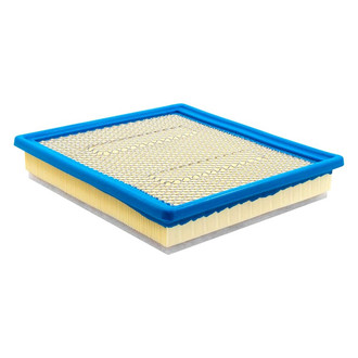 Baldwin Filters® - Channel Flow Primary Air Filter Element