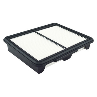 Baldwin Filters® - Air Filter Element