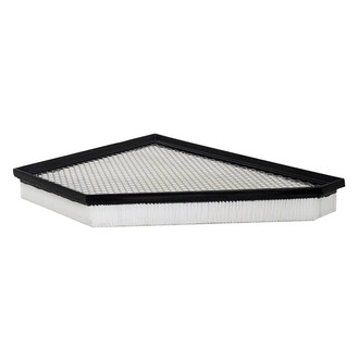 Baldwin Filters® - Channel Flow Primary Air Filter Element