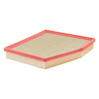 Baldwin Filters® - Channel Flow Primary Air Filter Element