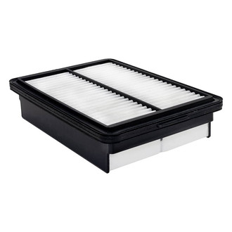 Baldwin Filters® - Channel Flow Primary Air Filter Element
