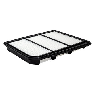 Baldwin Filters® - Radial Seal Air Filter
