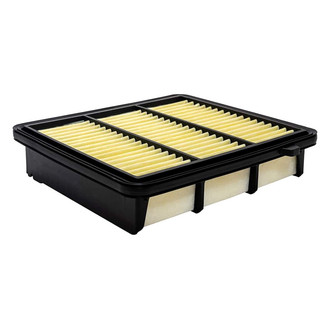Baldwin Filters® - Radial Seal Air Filter