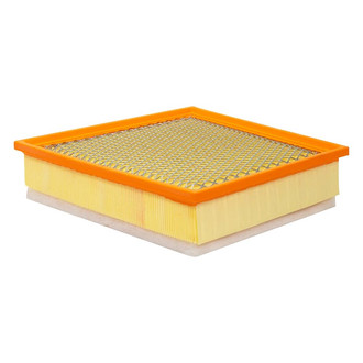 Baldwin Filters® - Radial Seal Air Filter