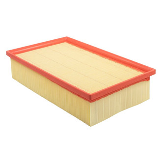 Baldwin Filters® - Radial Seal Air Filter
