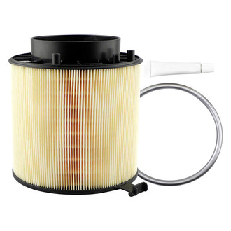 Baldwin Filters® - Channel Flow Primary Air Filter Element