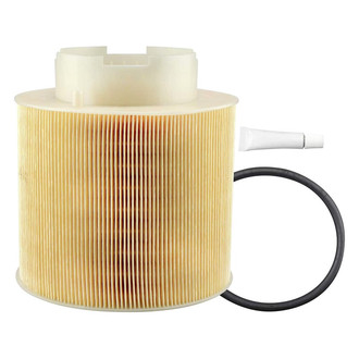 Baldwin Filters® - Channel Flow Primary Air Filter Element