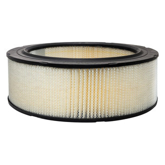 Baldwin Filters® - Radial Seal Air Filter