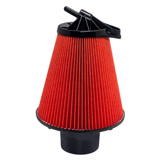 Baldwin Filters® - Radial Seal Air Filter
