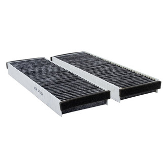 Baldwin Filters® - Cabin Air Filter Set