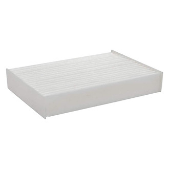 Baldwin Filters® - Radial Seal Air Filter
