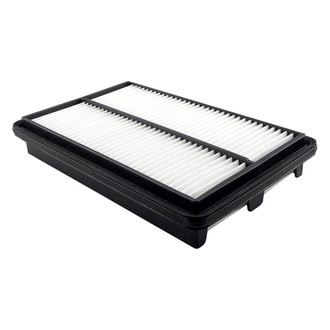 Baldwin Filters® - Radial Seal Air Filter