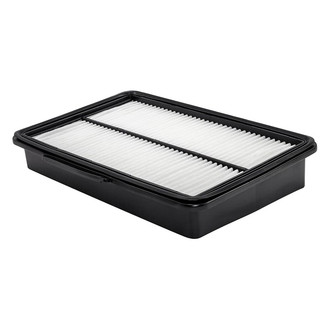 Baldwin Filters® - Radial Seal Air Filter